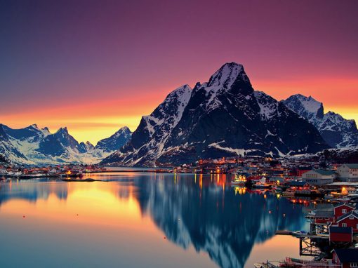 Enjoy Skjervoy